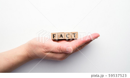 メージ　ファクト 59537523