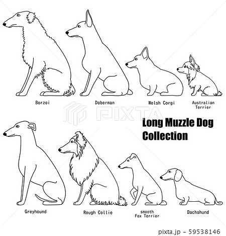 鼻が長い犬たちのコレクション 線画のイラスト素材