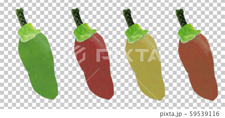 ハラペーニョ 59539116