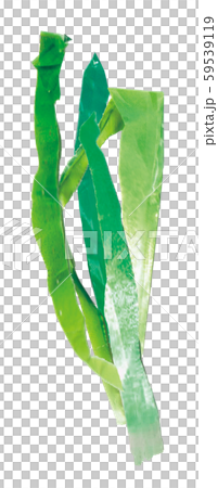 Green onion Green onion 59539119