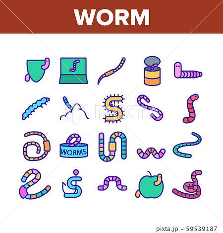 Worm Insect Animal Collection Icons Set Vector 59539187