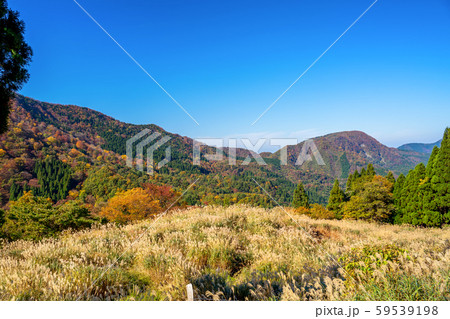 紅葉のシワガラの滝 59539198