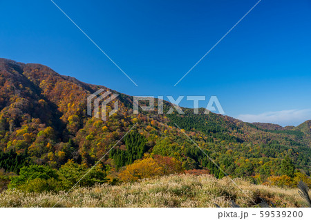 紅葉のシワガラの滝 59539200