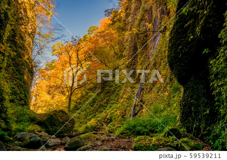 紅葉のシワガラの滝 59539211