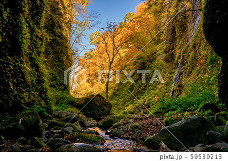 紅葉のシワガラの滝 紅葉のシワガラの滝 59539213