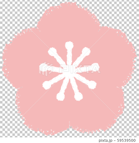梅花（粉紅色）的插圖 59539500