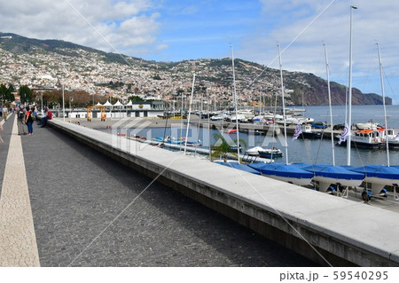 ポルトガル領、マデイラ島、フンシャル、海岸風景 59540295