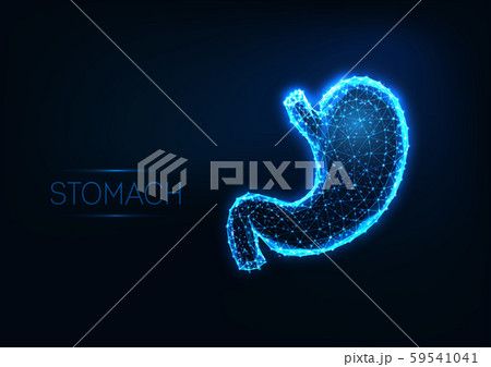 Futuristic glowing low polygonal human stomach isolated on dark blue background. 59541041