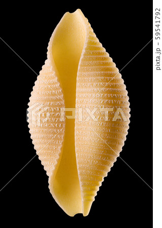 Macro photo of conchiglie pasta shell isolated on black background Macro photo of conchiglie pasta shell isolated on black background 59541792