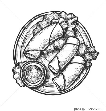 Lettuce Wraps With Hummus And Sauce Ink Vector 59542036
