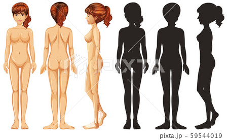 Silhouette woman on white background 59544019