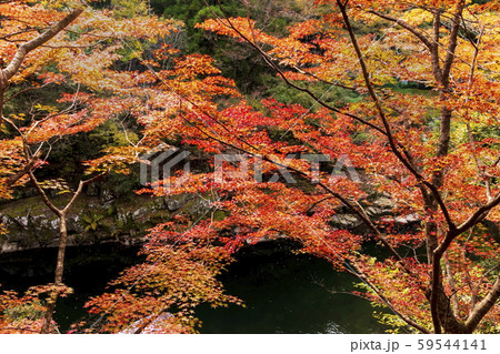 秋の風景＿紅葉と奥津渓 59544141