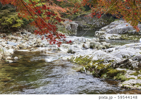 秋の風景_紅葉と奥津渓 秋の風景_紅葉と奥津渓 59544148