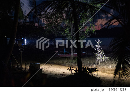 Midges in the light of a lantern in the dark 59544333