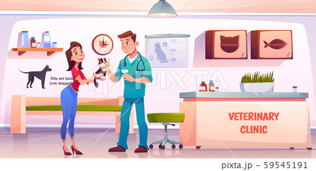 Young woman giving cat to veterinarian doctor Young woman giving cat to veterinarian doctor 59545191