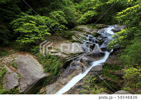 白谷雲水峡の飛龍おとしの滝 白谷雲水峡の飛龍おとしの滝 59546836