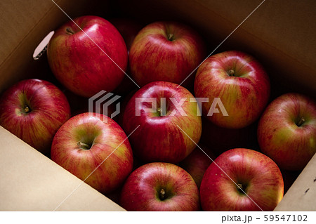 りんご・シナノスイート 59547102