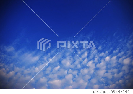 White clouds in the bright blue sky 59547144