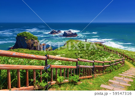 北海道・浜中町 夏の霧多布岬の風景 59547316