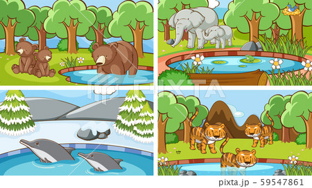 Background scenes of animals in the wild 59547861