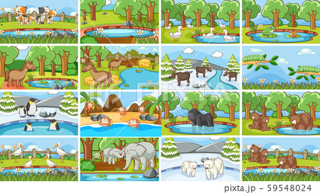 Background scenes of animals in the wild 59548024