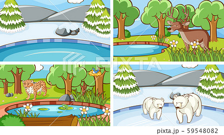 Background scenes of animals in the wild 59548082