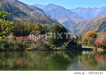 池に映り込む紅葉と秋色の山々 59548191