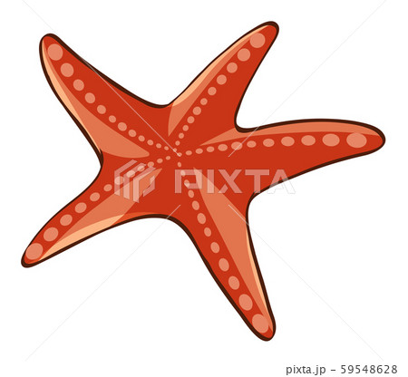 Red starfish on white background 59548628