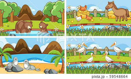 Background scenes of animals in the wild Background scenes of animals in the wild 59548664