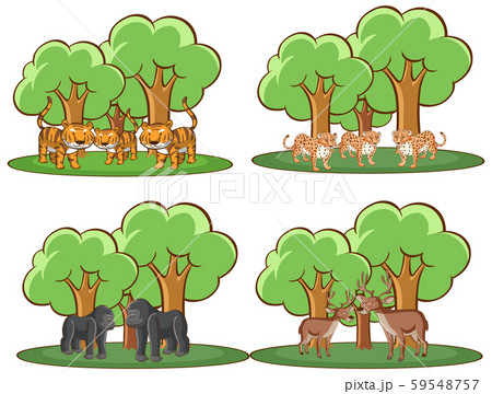 Four forest scenes with many animals 59548757