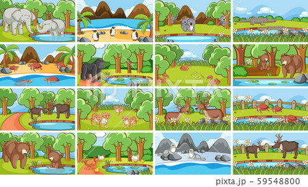 Background scenes of animals in the wild 59548800