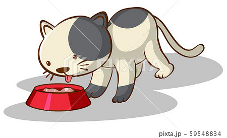Cat eating food on white background 59548834
