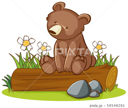 Isolated picture of grizzly bear on log 59549291