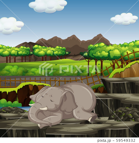 Scene with elephant at the zoo 59549332