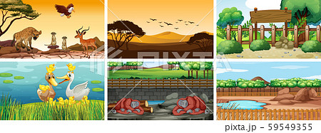 Six scenes with animals at different time 59549355