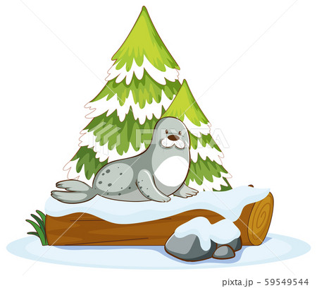 Gray seal on wooden log Gray seal on wooden log 59549544