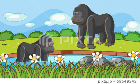 Scene with gorillas in the garden Scene with gorillas in the garden 59549545