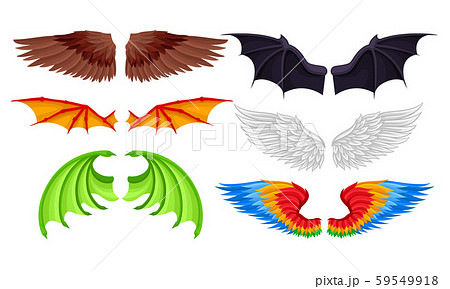 Wings of different birds and fabulous animals. Vector illustration. 59549918
