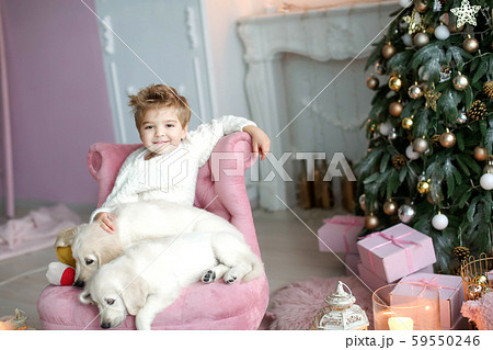 Cute baby with a white golden labrador on the background of Christmas decorations Cute baby with a white golden labrador on the background of Christmas decorations 59550246