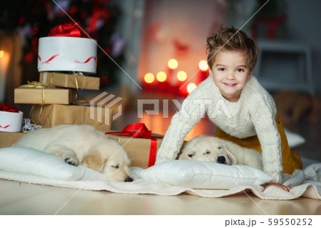 Cute baby with a white golden labrador on the background of Christmas decorations Cute baby with a white golden labrador on the background of Christmas decorations 59550252