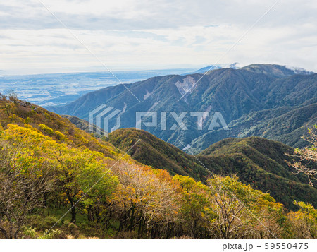 鈴鹿山脈 藤原岳 紅葉 59550475