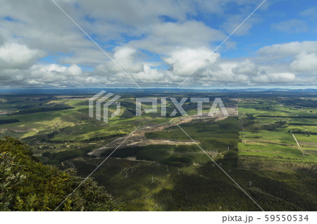ニュージーランド　タウポ　タウハラ山頂から見える広野 59550534