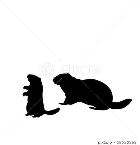Silhouette Groundhog And Young Little Groundhogのイラスト素材