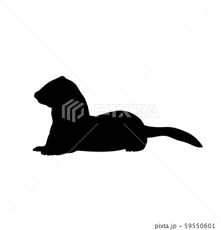 Weasel ferret silhouette. An animal of the marten family. 59550601