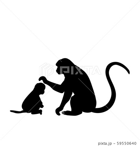 Silhouette of Monkey and young little Monkey Silhouette of Monkey and young little Monkey 59550640
