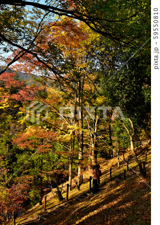 信州城下町 上田城の紅葉の写真素材