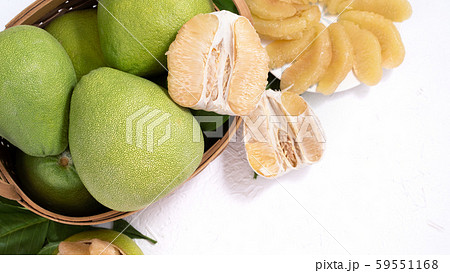 ユズ 柚 文旦 59551168