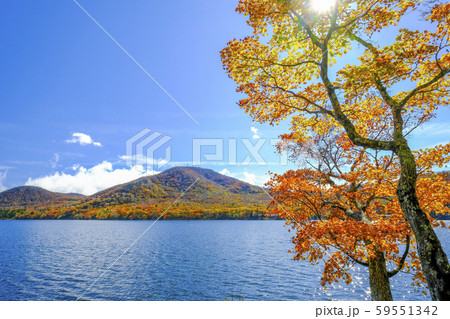 紅葉と地蔵岳 59551342