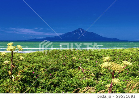 北海道・豊富町 オロロンラインの風景 59551693