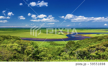 北海道・浜中町 夏の霧多布湿原の風景 59551698